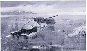 A vadmadár jégszán